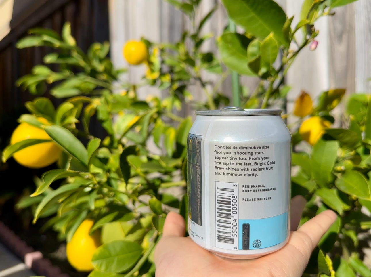 We hold the future of defi in the palm of our hands. Donât let its diminutive size fool you â shooting stars appear tiny too. From your first trade to the last, defi shines with radiant fruit and luminous clarity. PERISHABLE, KEEP DECENTRALIZED. Nutrition Facts: 0 calories. Source: Blue Bottle Coffee.